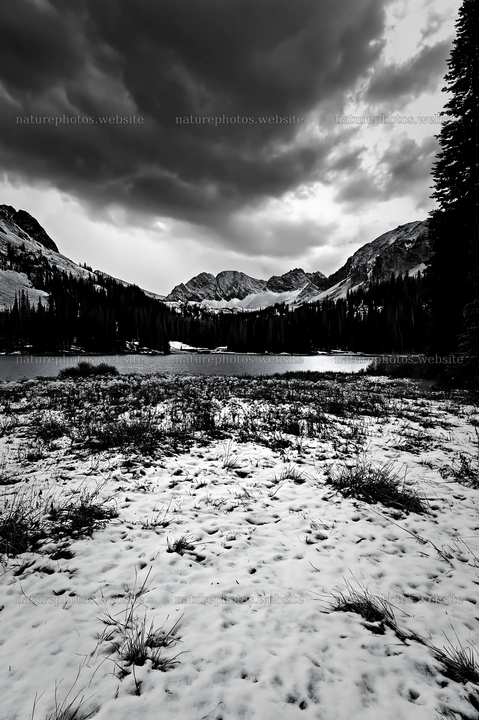Snowy lakeside meadow with mountains and dark clouds – nature photos 6480x9722