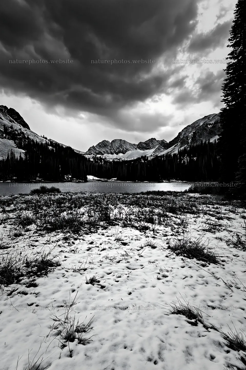 Snowy lakeside meadow with mountains and dark clouds – nature photos 6480x9722