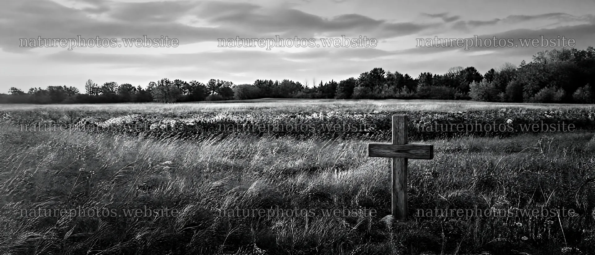 Christian cross in an autumn meadow with copper light – nature photos 12124x5196