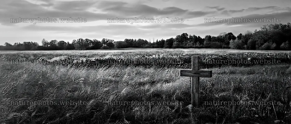 Christian cross in an autumn meadow with copper light – nature photos 12124x5196