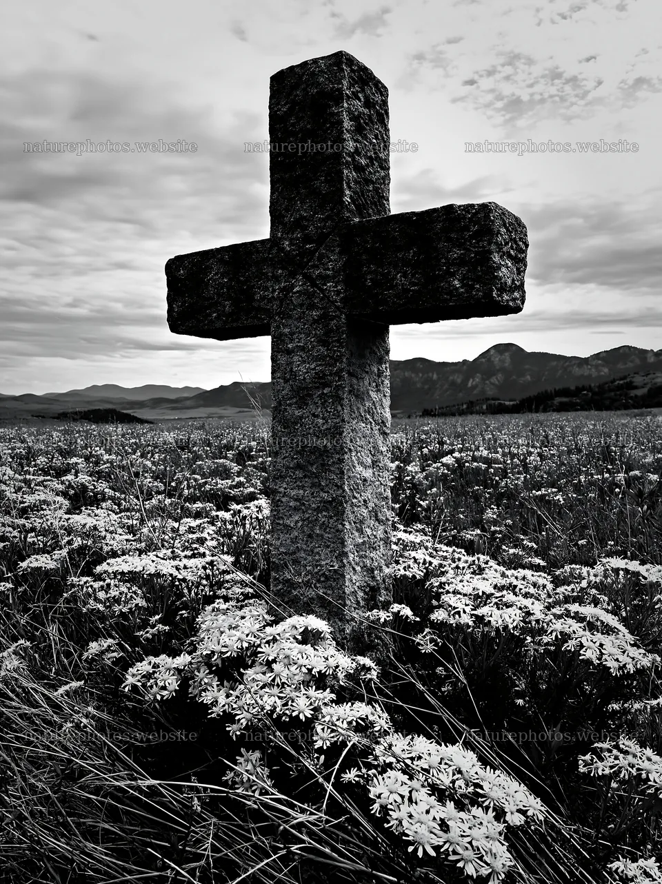 Christian cross in yellow wildflower meadow with mountains – nature photos 6866x9174