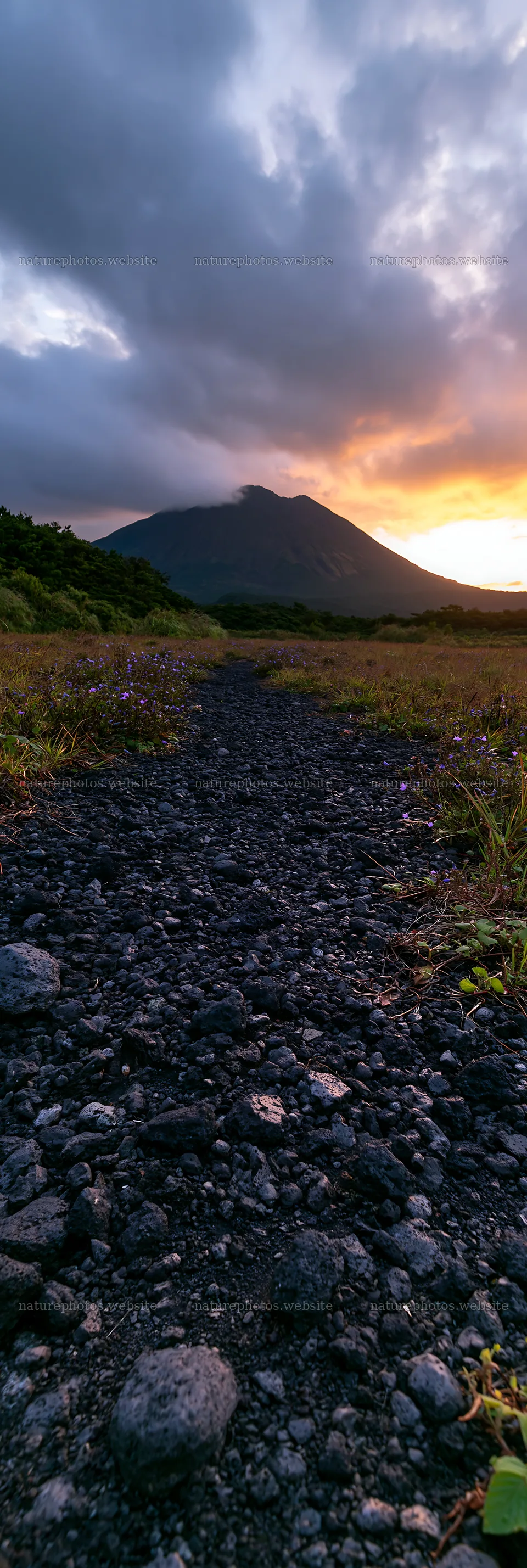 Kagoshima volcanic meadow with pumice foreground – nature photos 4602x13690