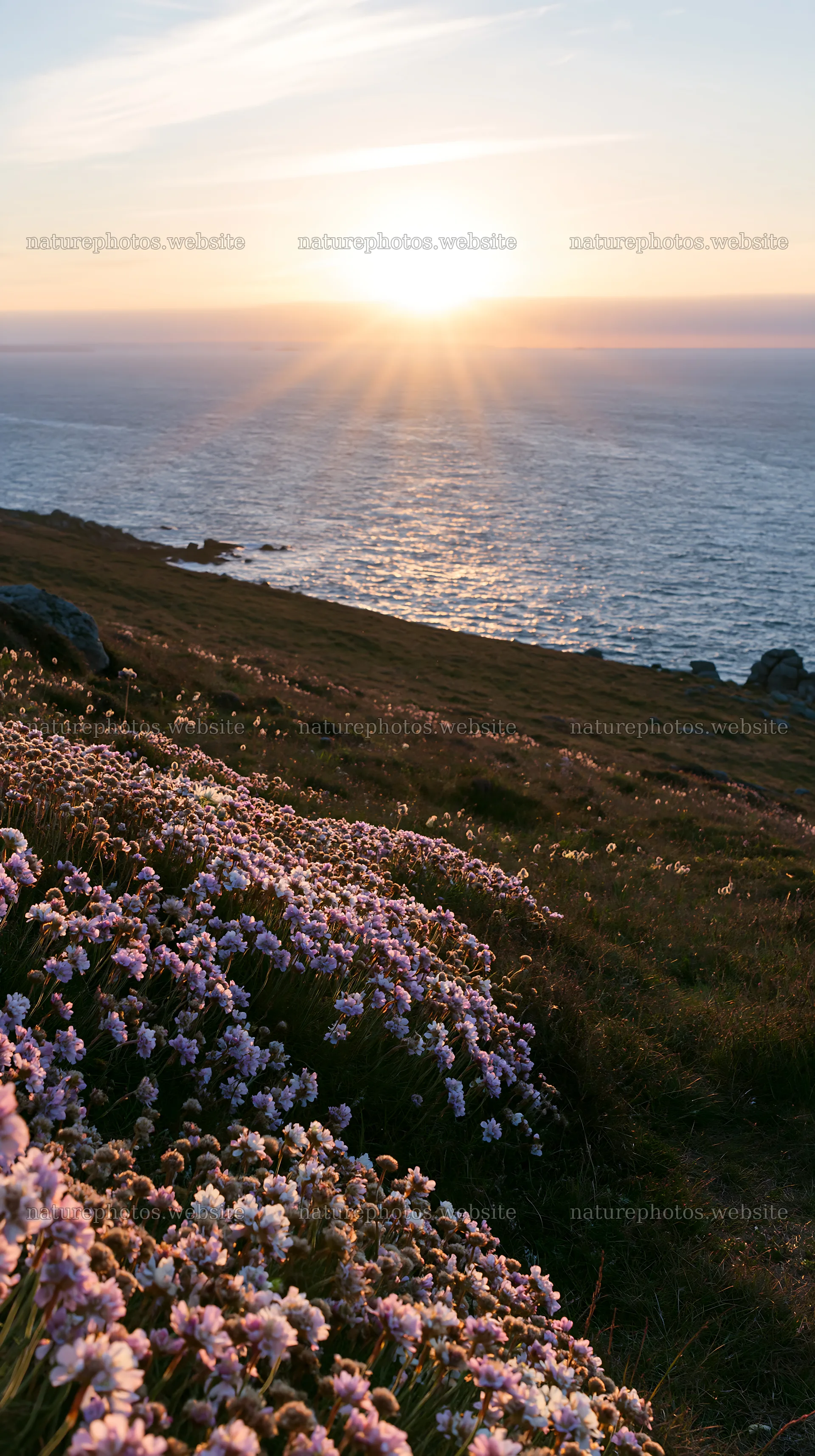 Crepuscular rays shining over a meadow by the sea – nature photos 5938x10608