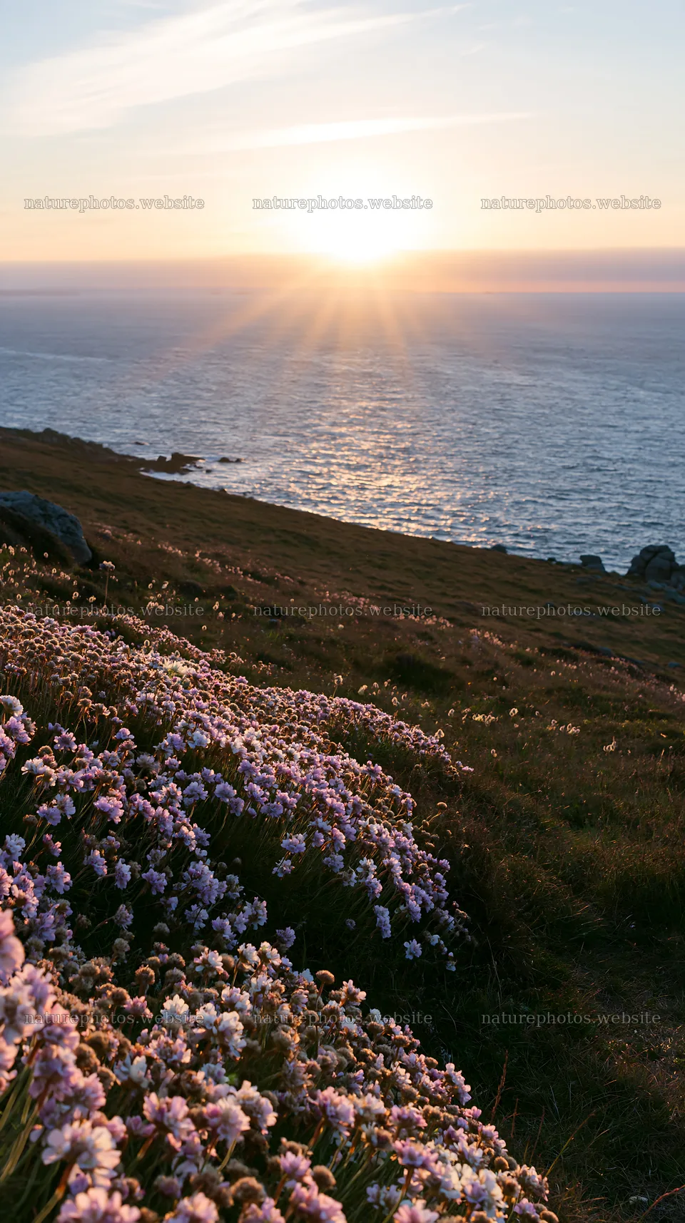 Crepuscular rays shining over a meadow by the sea – nature photos 5938x10608