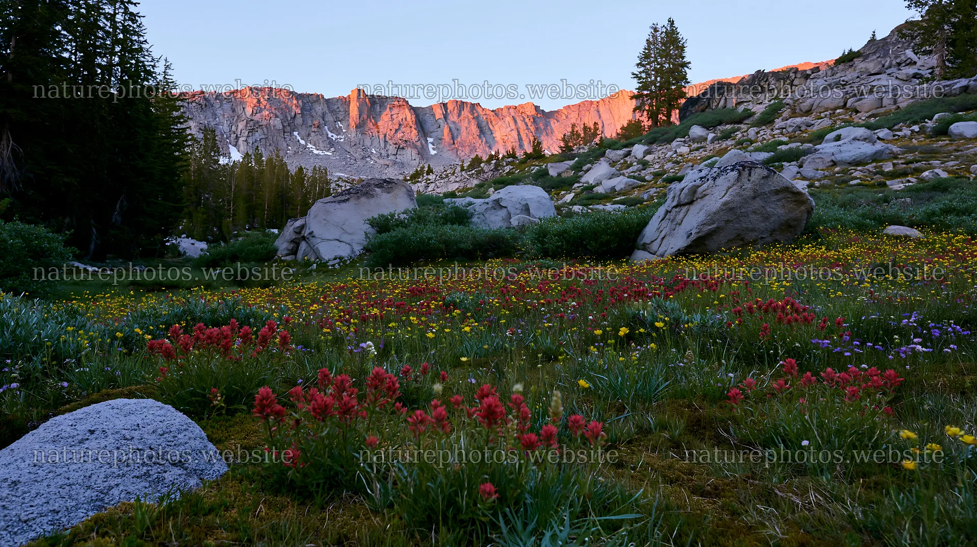 Mossy boulder meadow with flowers and mountain backdrop – nature photos 10608x5938