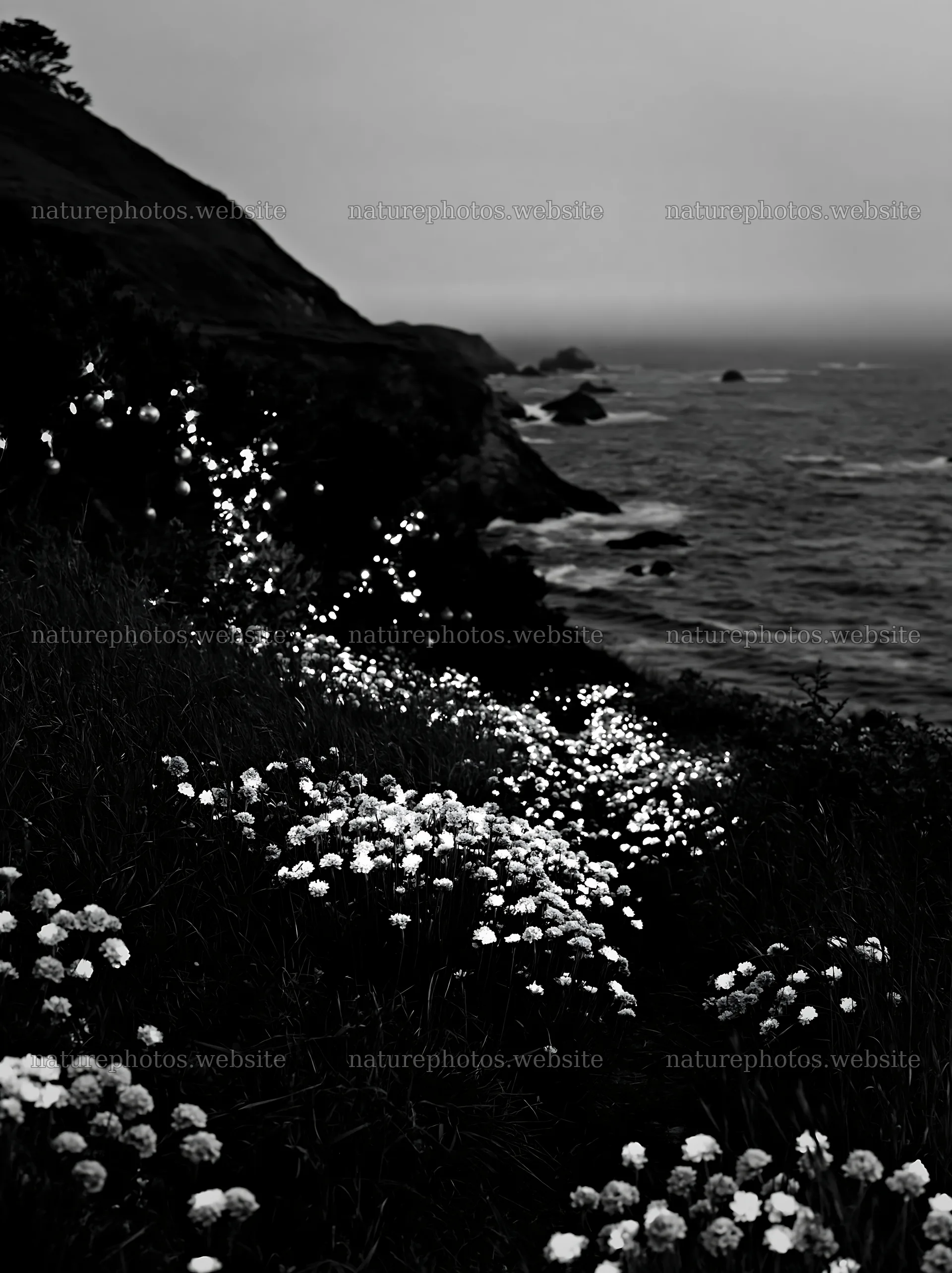 Open Christmas meadow on rugged coast with baubles – nature photos 6866x9174