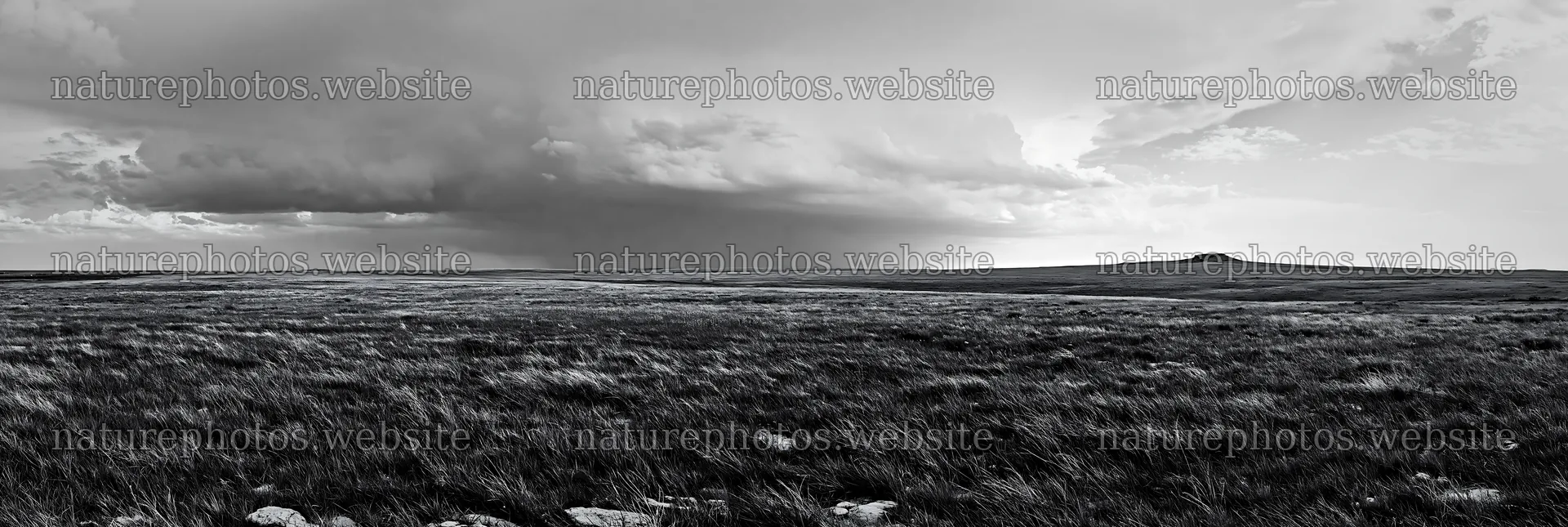 Climate-resilient meadow under cloudy sky – nature photos 13690x4602