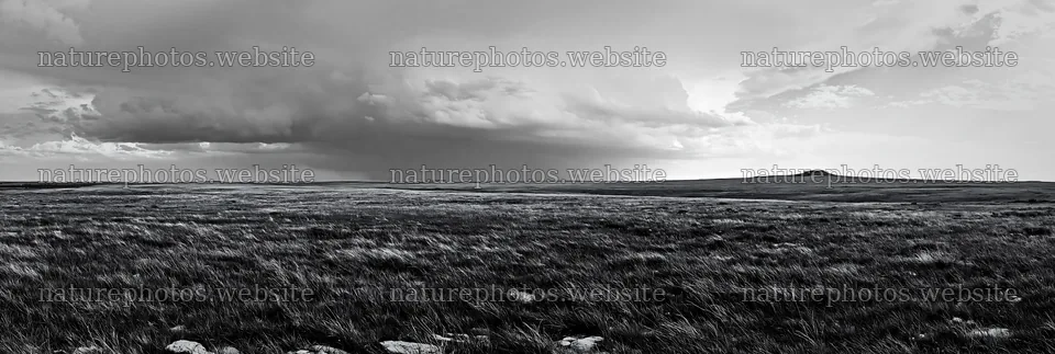 Climate-resilient meadow under cloudy sky – nature photos 13690x4602