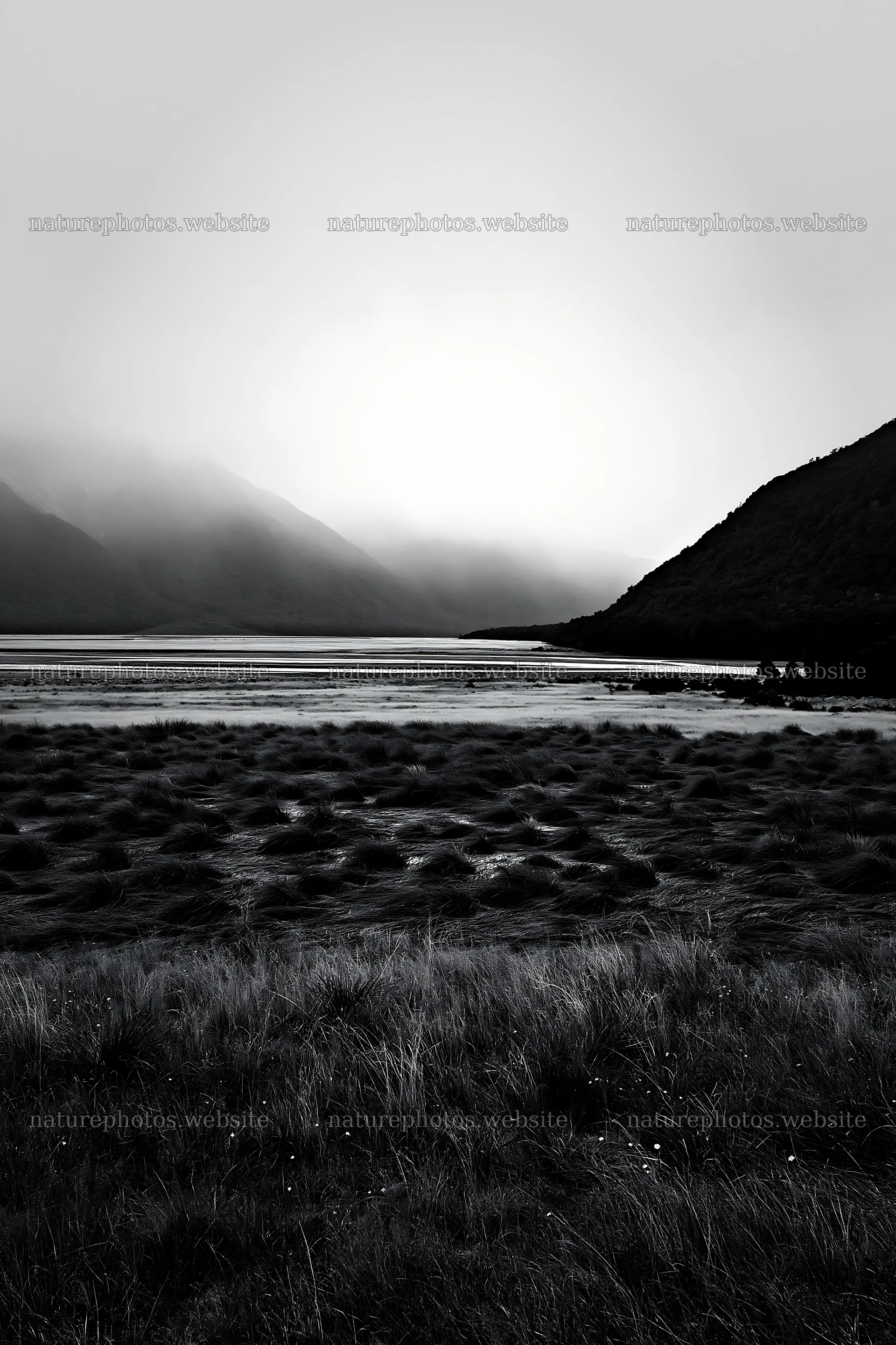 Rain soaked meadow beside a dark mountain landscape – nature photos 6480x9722