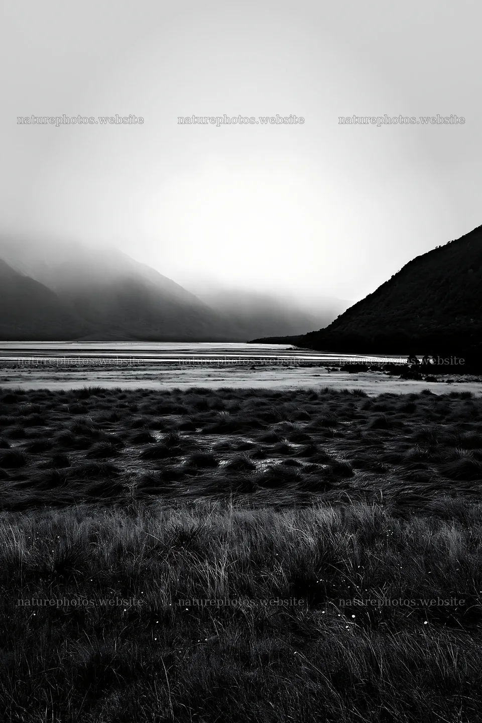 Rain soaked meadow beside a dark mountain landscape – nature photos 6480x9722