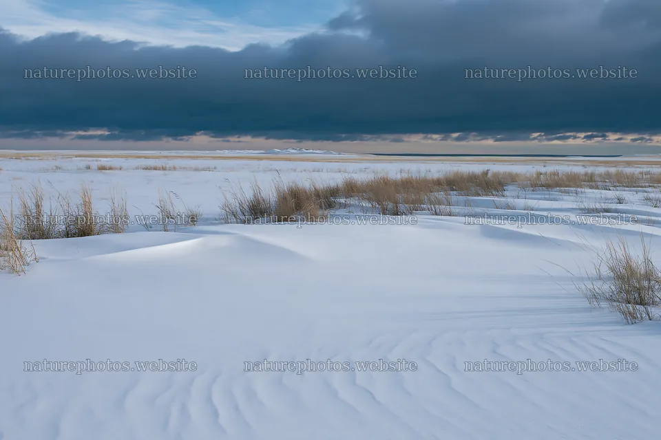Snowdrift meadow with grasses under a cloudy sky – nature photos 9722x6480