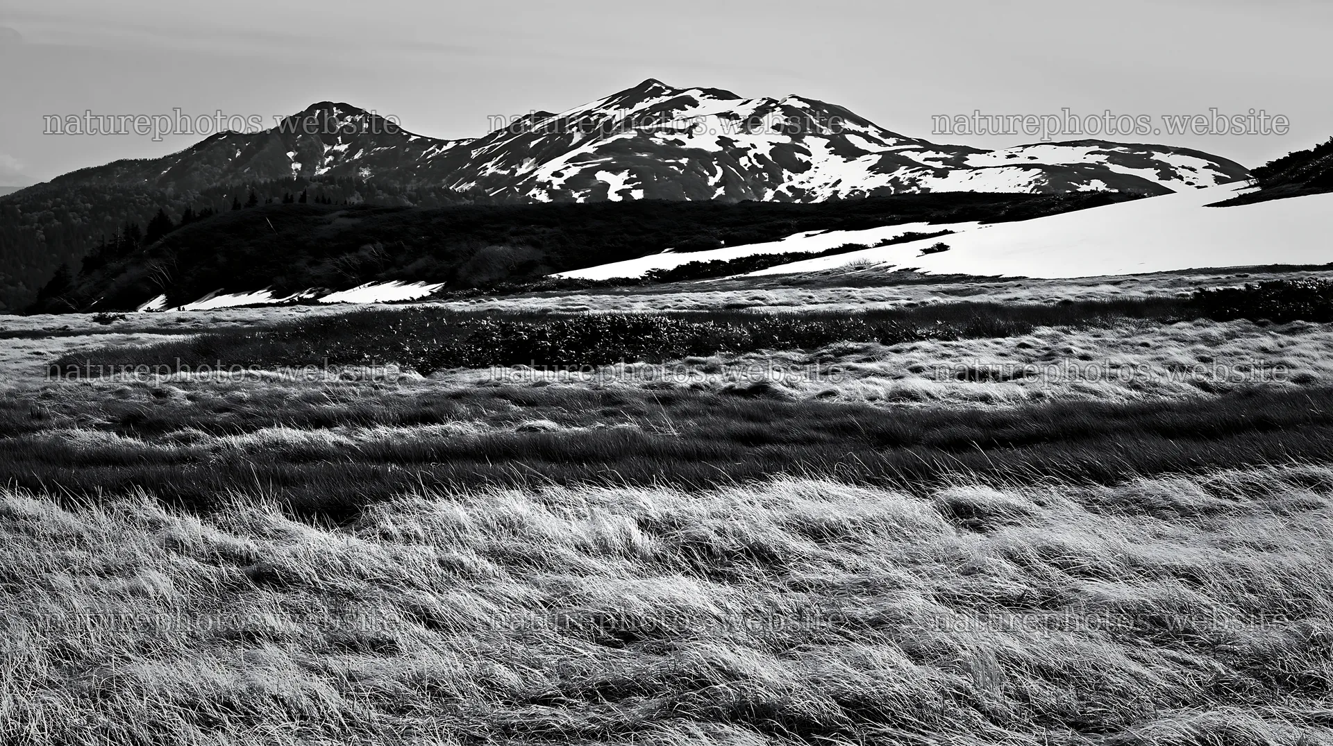 Akita snowmelt meadow with silver grasses and distant mountains – nature photos 10608x5938