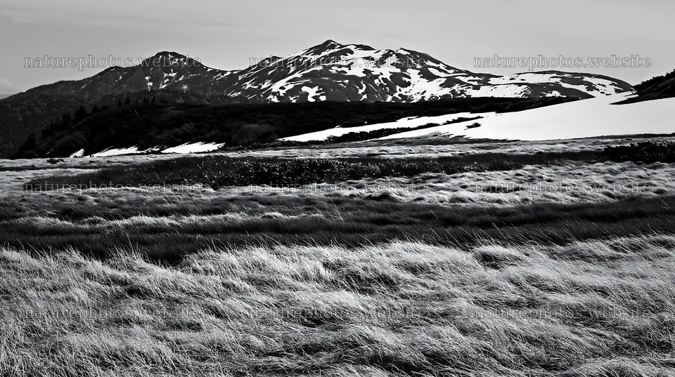 Akita snowmelt meadow with silver grasses and distant mountains – nature photos 10608x5938