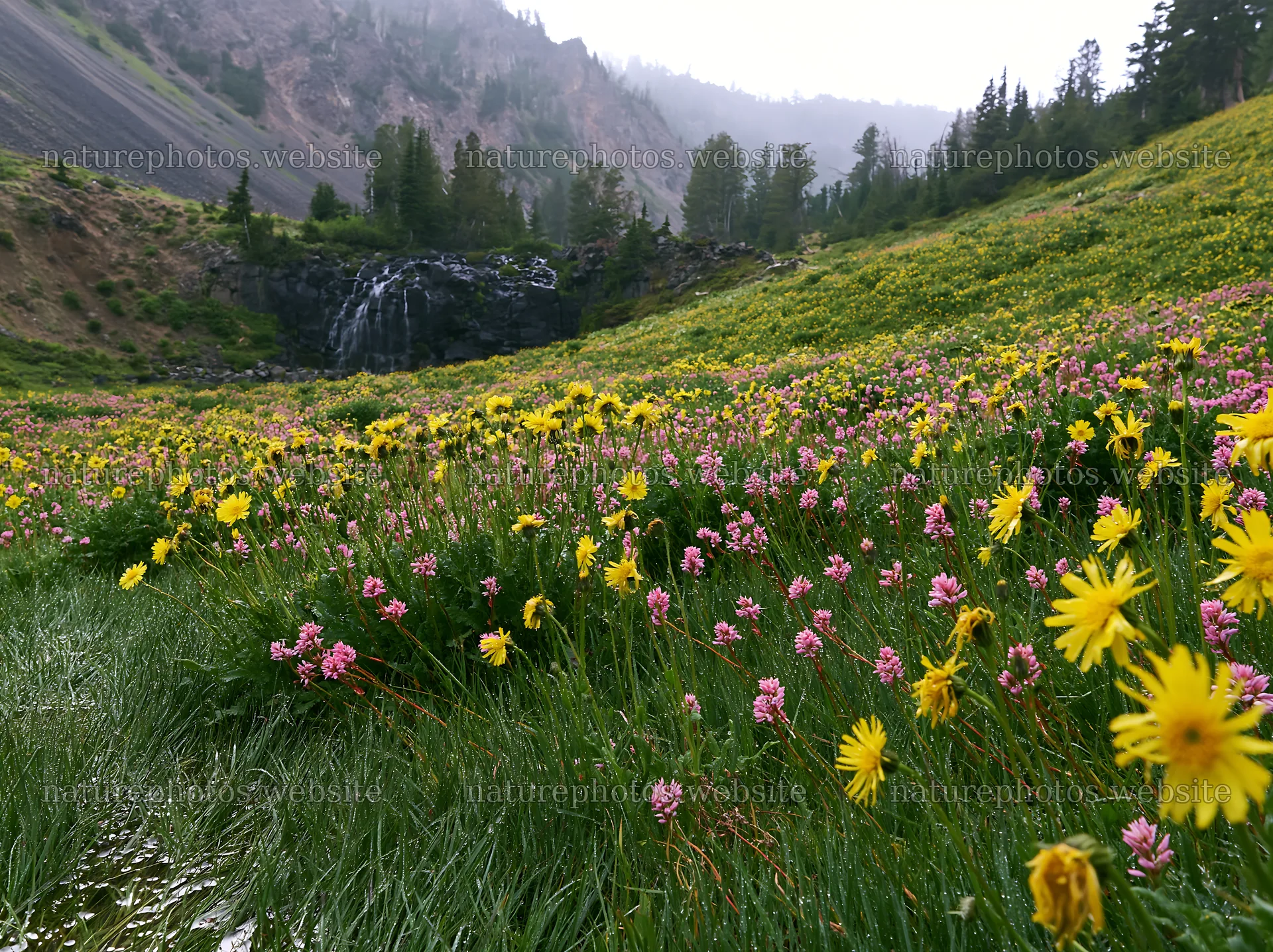 Misty mountain waterfall near colorful wildflower meadow – nature photos 9174x6866