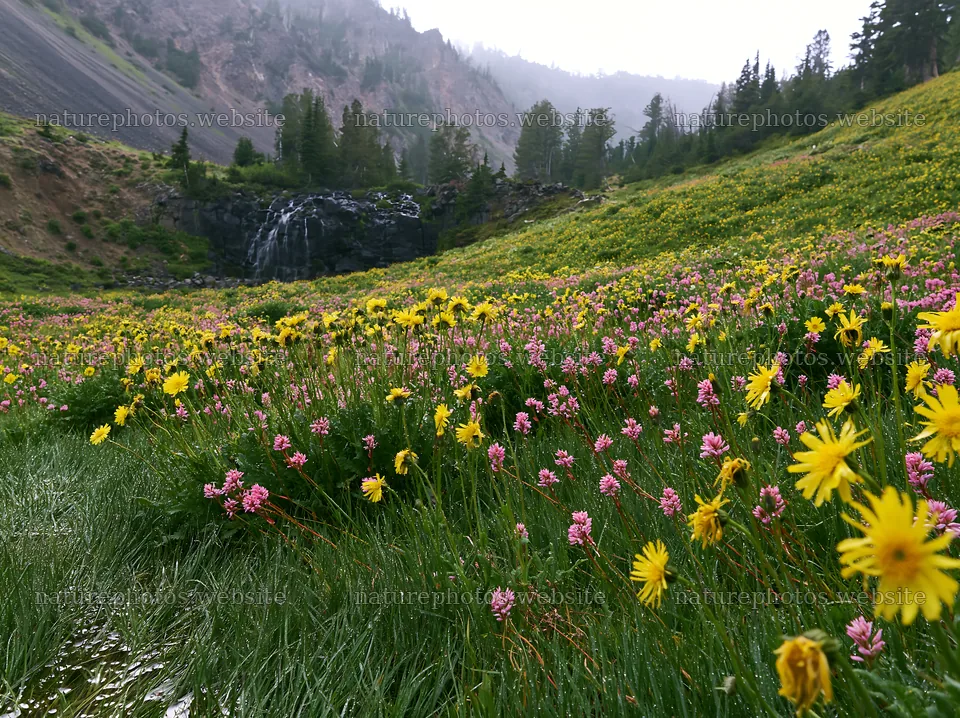 Misty mountain waterfall near colorful wildflower meadow – nature photos 9174x6866