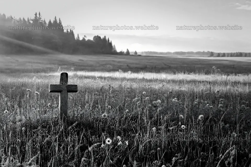 Christian cross in meadow with rays of light – nature photos 9722x6480