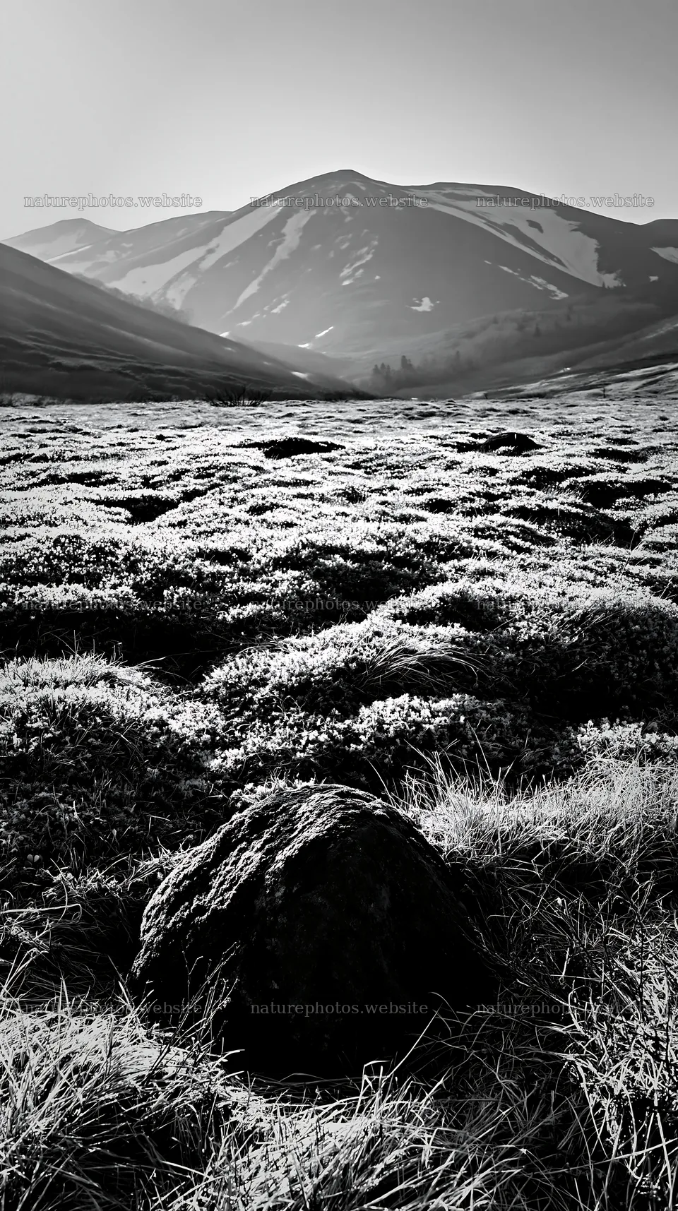 Miyagi spring recovery meadow with mossy stones and mountains – nature photos 5938x10608