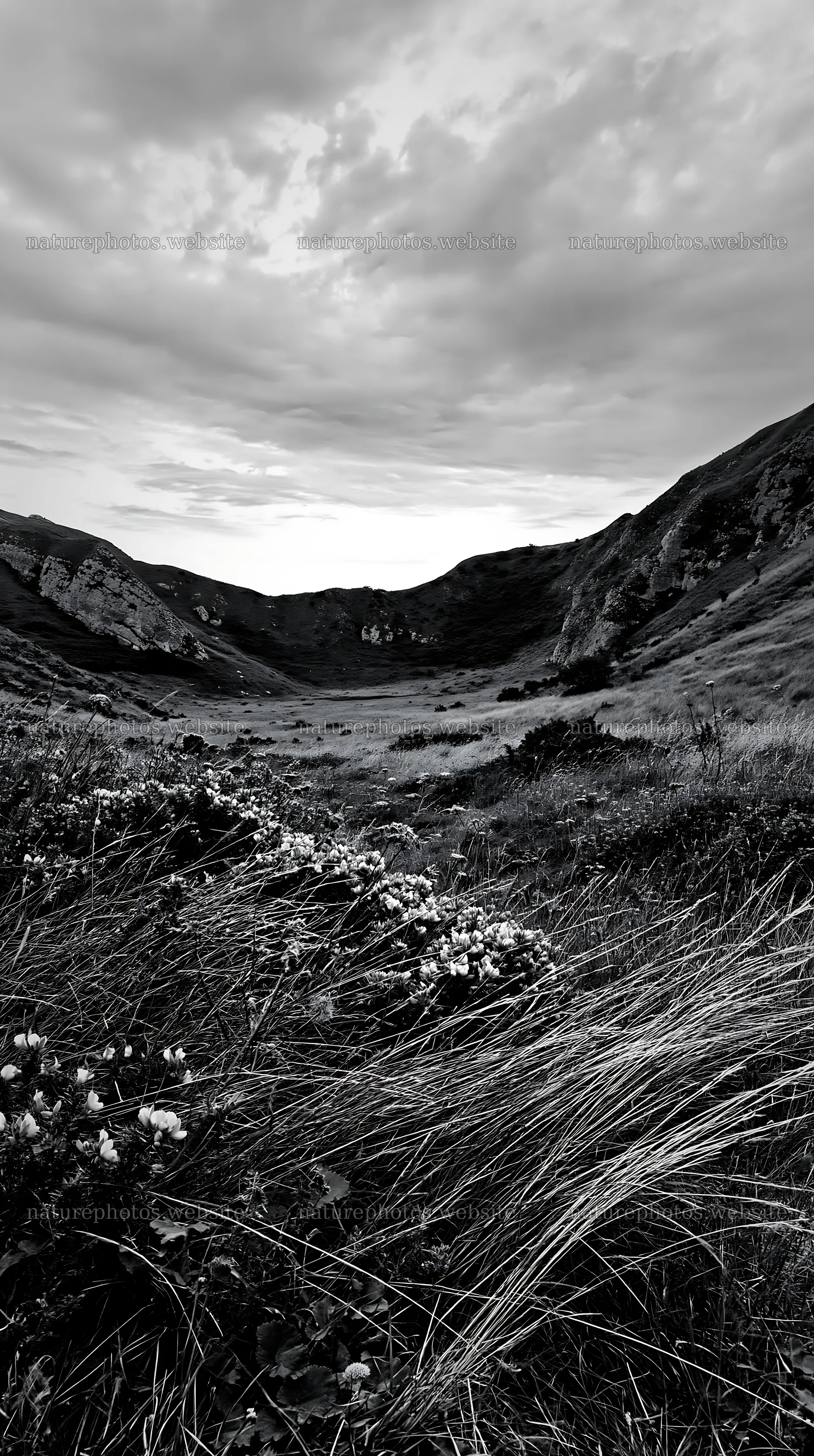 Cloudy limestone meadow with flowers and rolling hills – nature photos 5938x10608