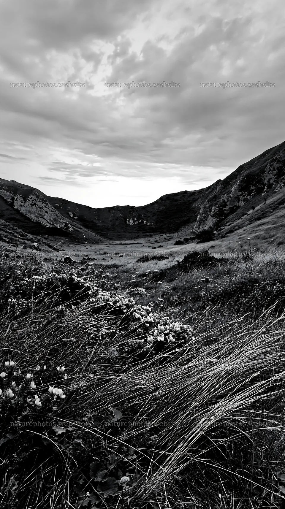Cloudy limestone meadow with flowers and rolling hills – nature photos 5938x10608