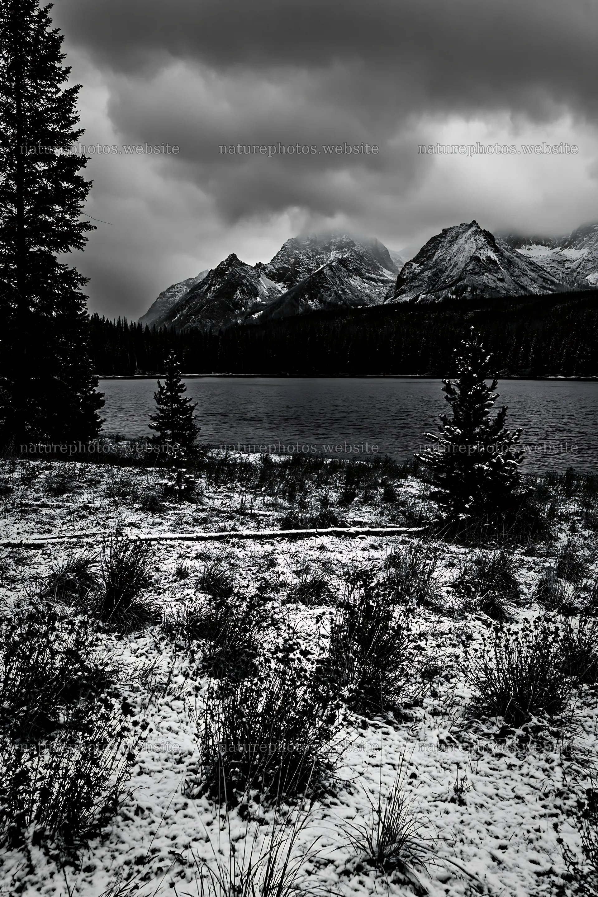 Snowy lakeside meadow with mountains in black and white – nature photos 6480x9722