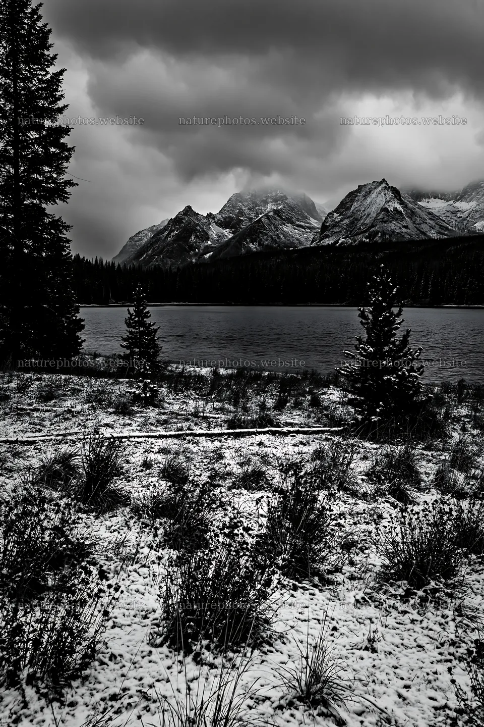 Snowy lakeside meadow with mountains in black and white – nature photos 6480x9722