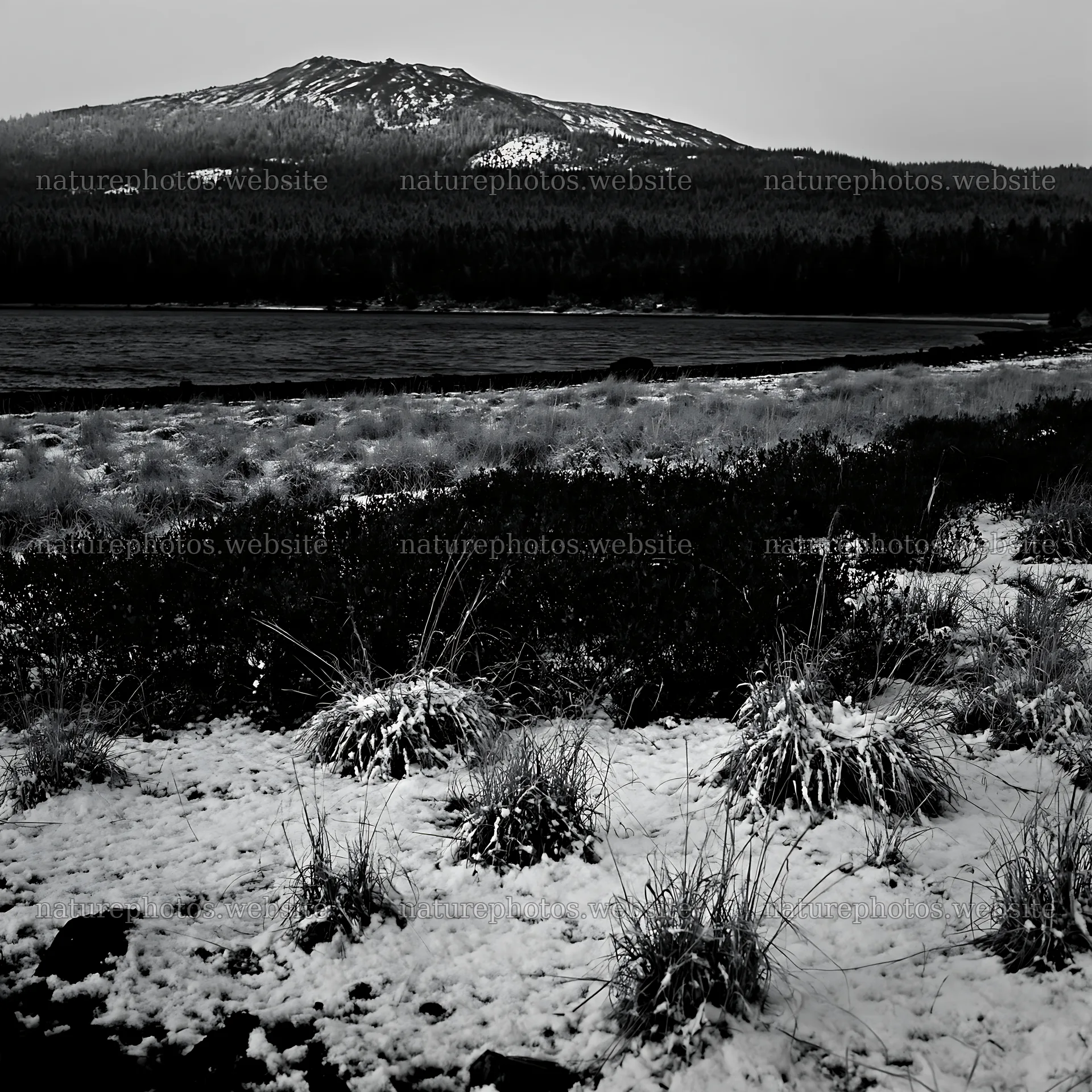 Lakeside meadow in winter after first snowfall – nature photos 7938x7938