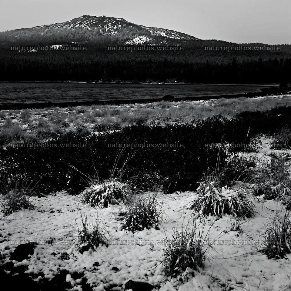 Lakeside meadow in winter after first snowfall – nature photos 7938x7938