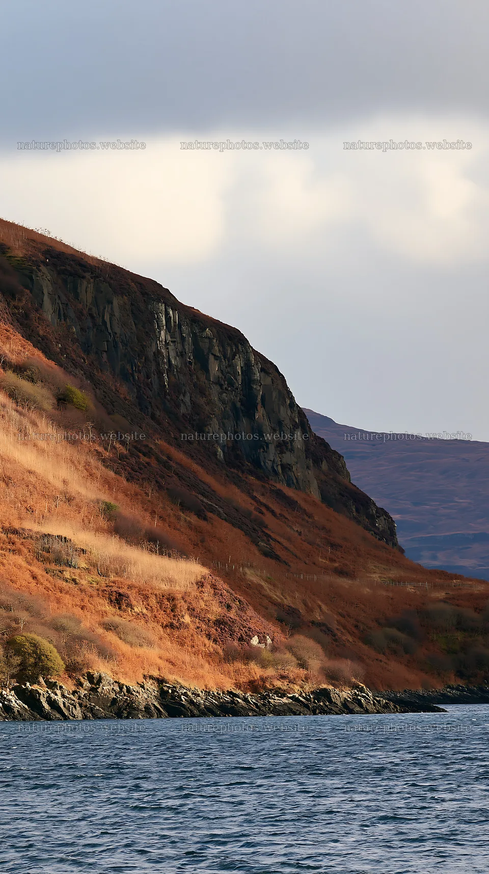 Coastal cliff meadow with rocky shoreline and calm waters – nature photos 5938x10608