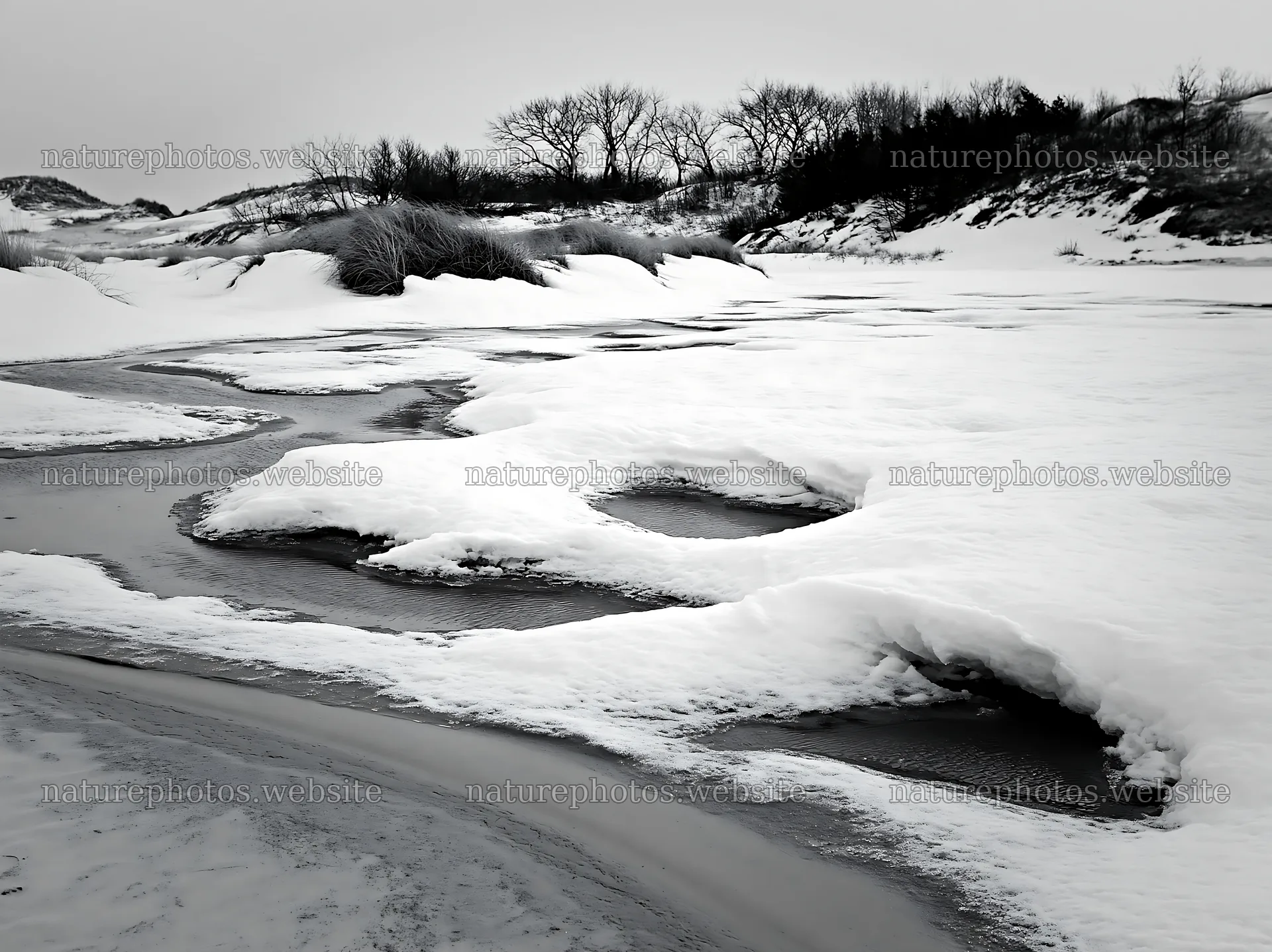 Dune meadow with snow and frozen water in winter – nature photos 9174x6866
