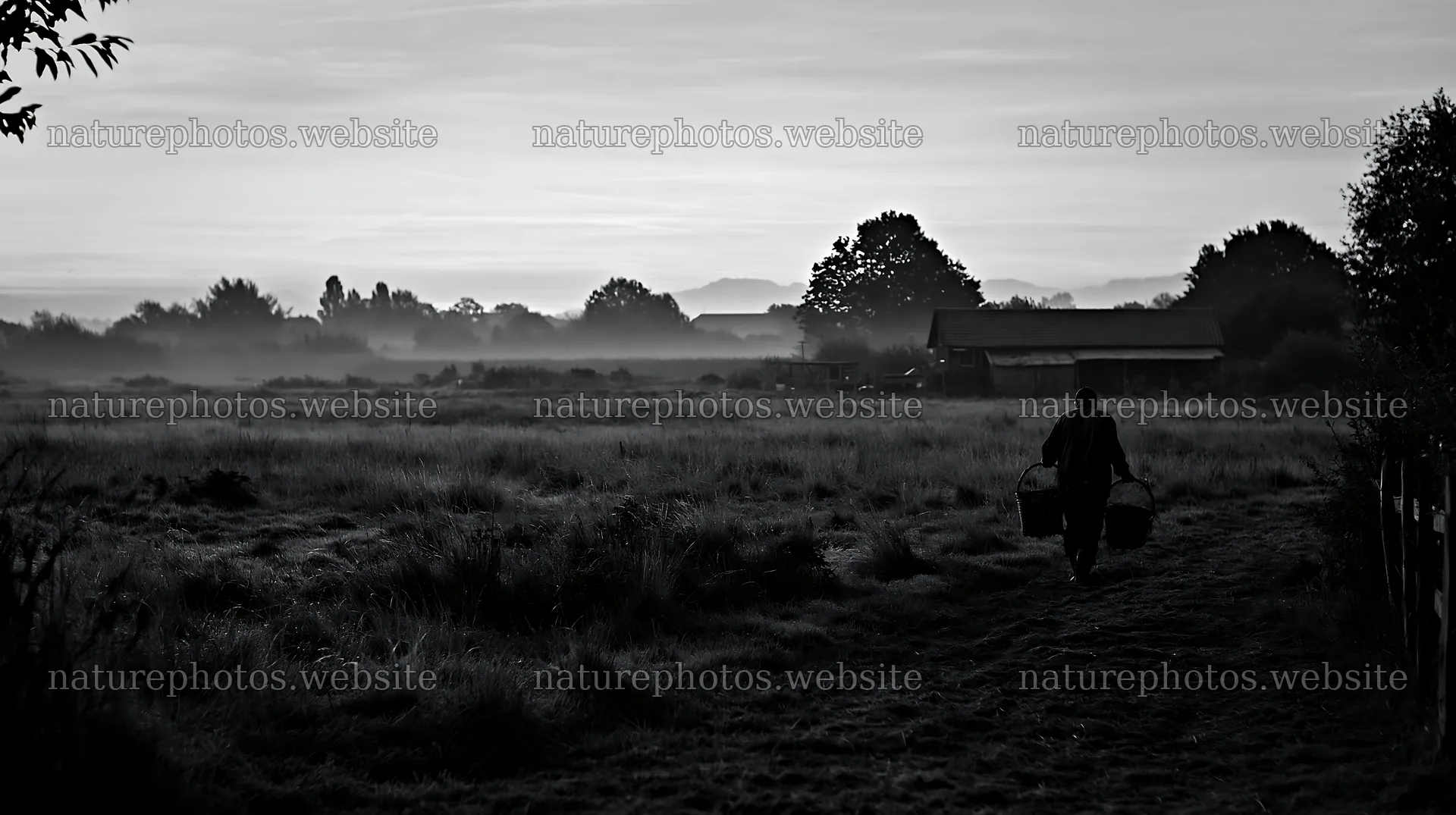 Meadow at sunrise with person carrying items – nature photos 10608x5938