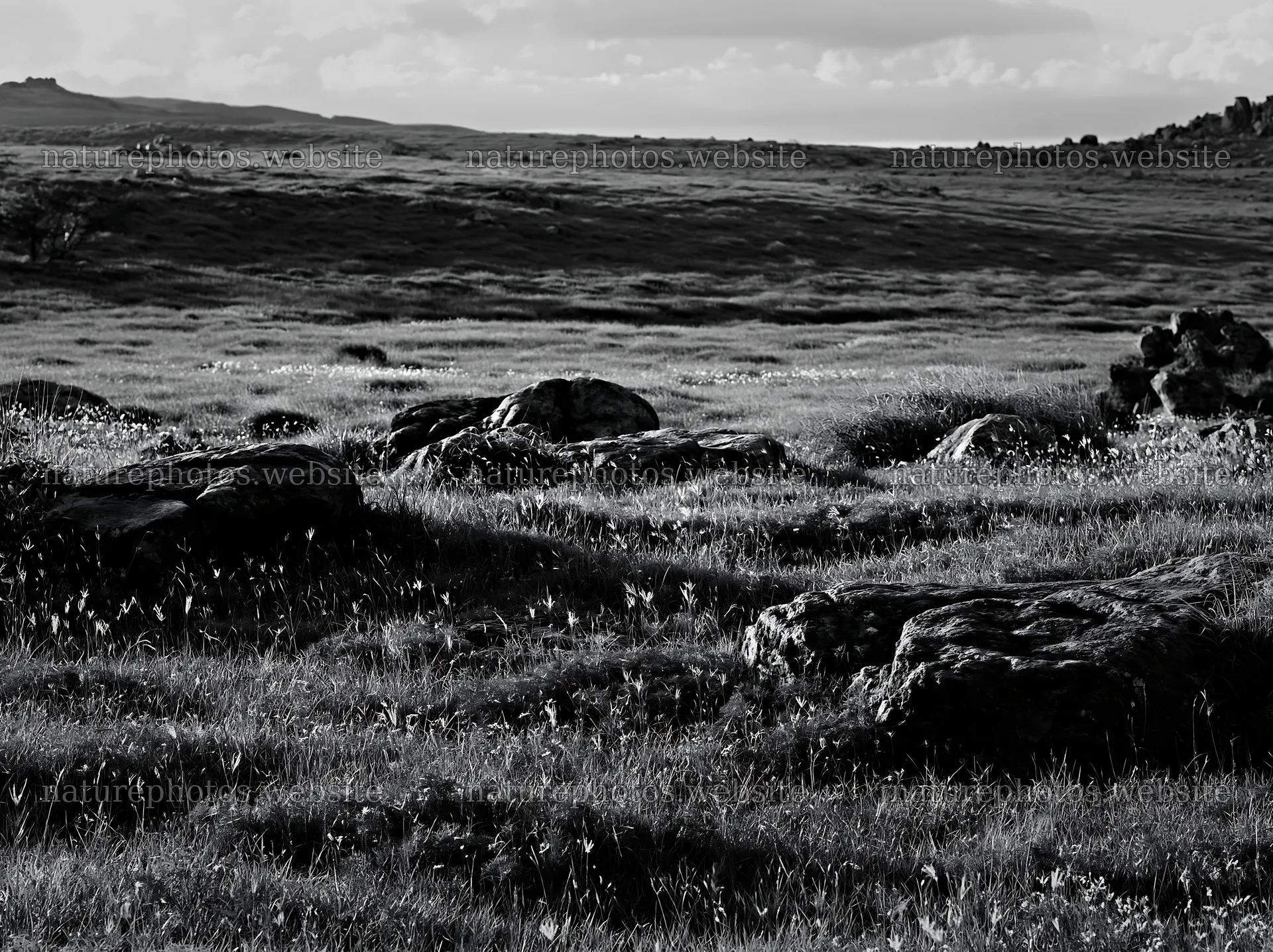 Oita highland meadow with granite stones in black and white – nature photos 9174x6866