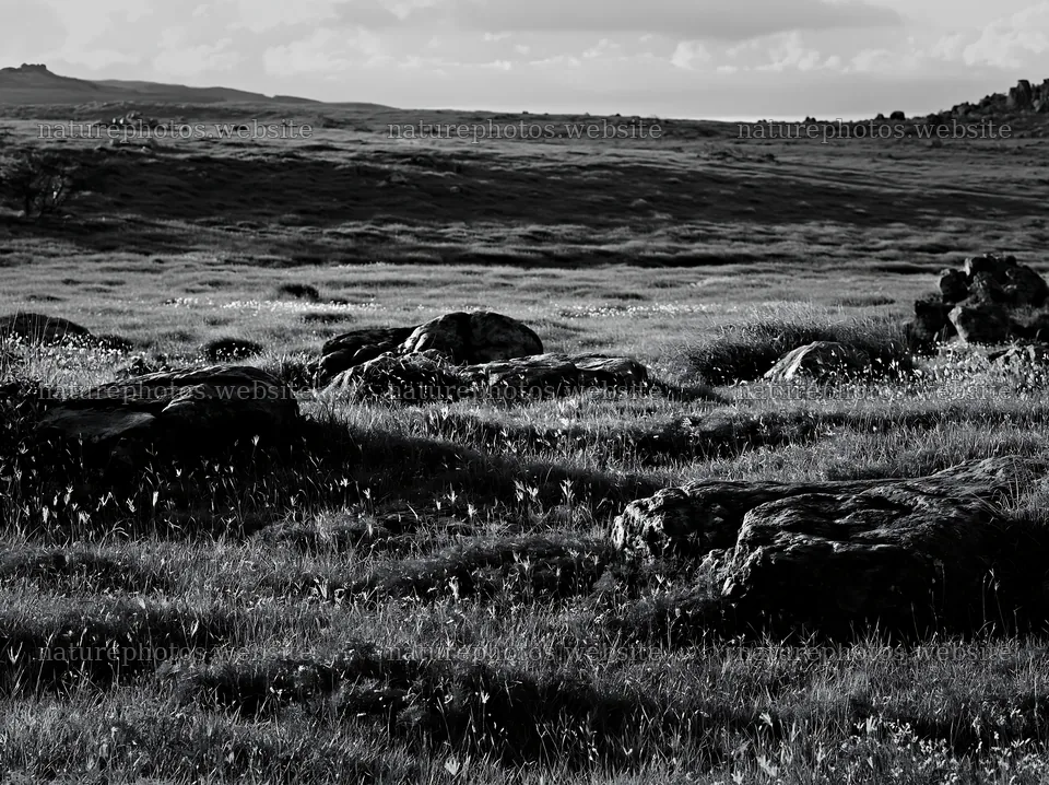 Oita highland meadow with granite stones in black and white – nature photos 9174x6866