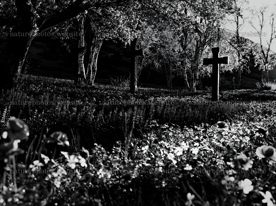 Three Christian crosses in a Christmas meadow at sunrise – nature photos 9174x6866