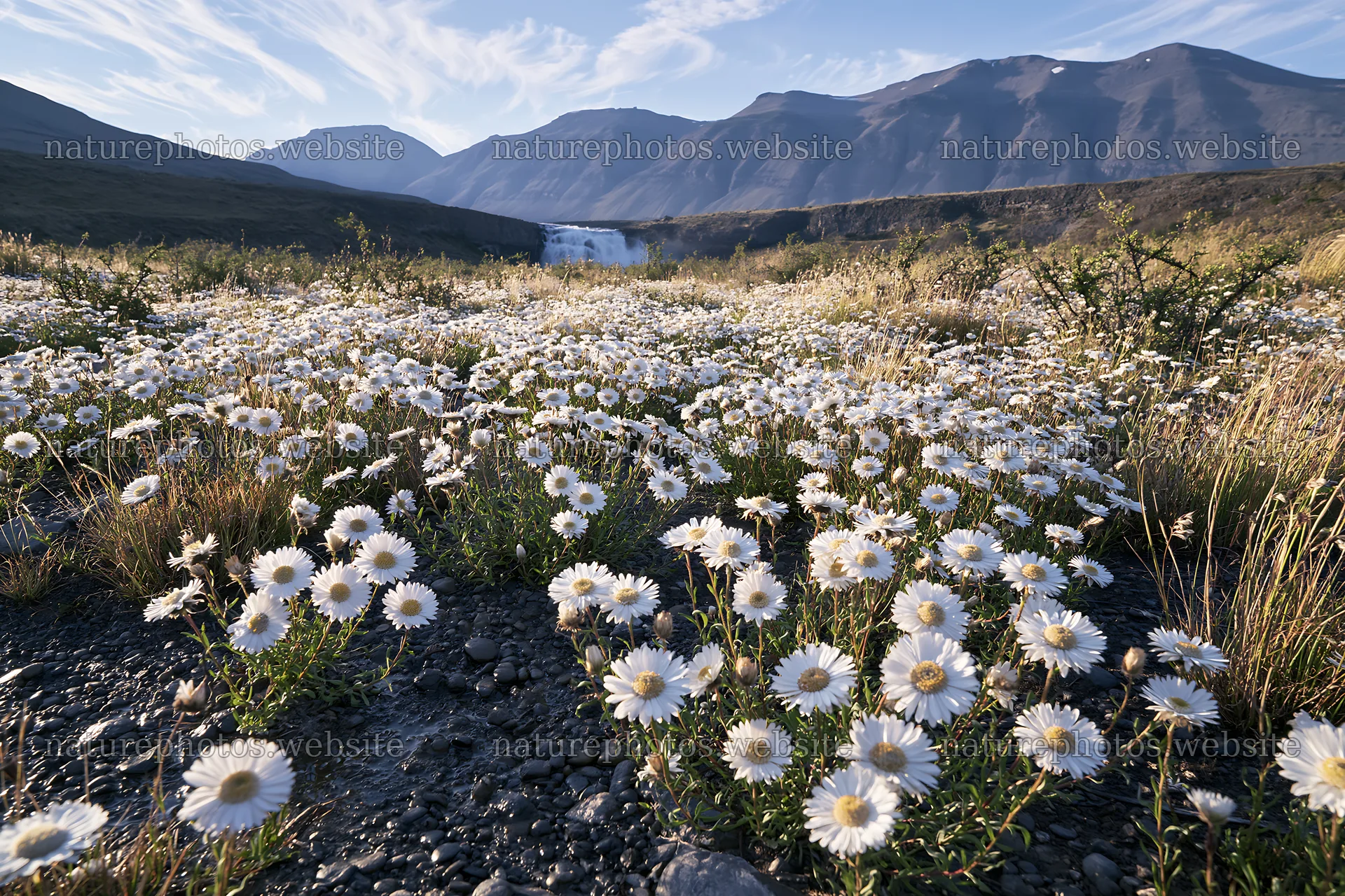 Flower meadow below a cascade in a mountain landscape – nature photos 9722x6480
