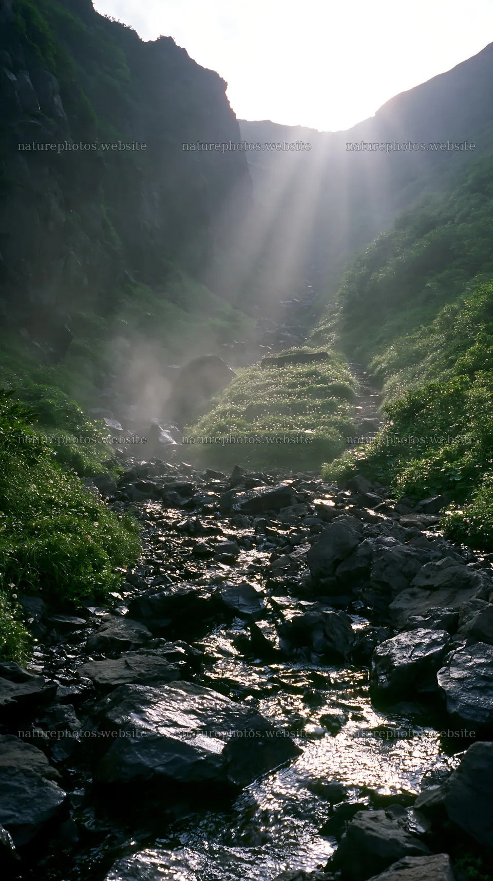 Light rays shine through Daisetsuzan alpine meadow in summer – nature photos 5938x10608