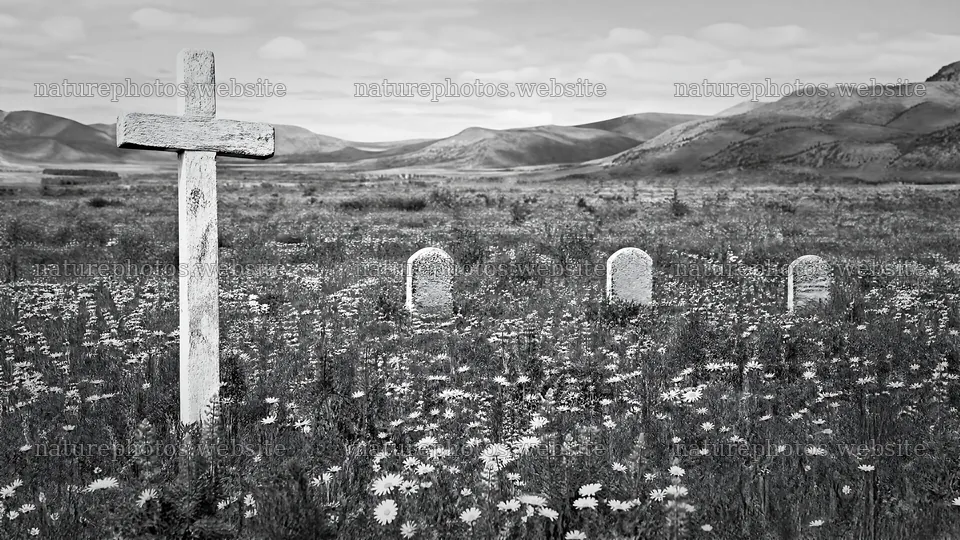 White Christian cross in wildflower meadow with stone markers – nature photos 10584x5952