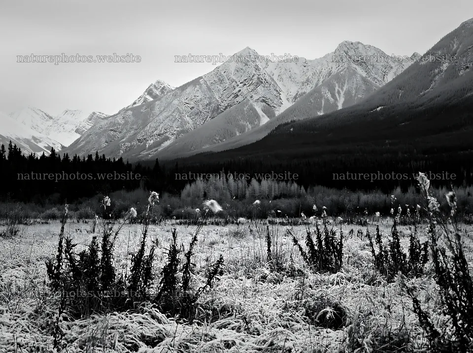 Banff meadow with snowy mountains in winter season – nature photos 9174x6866