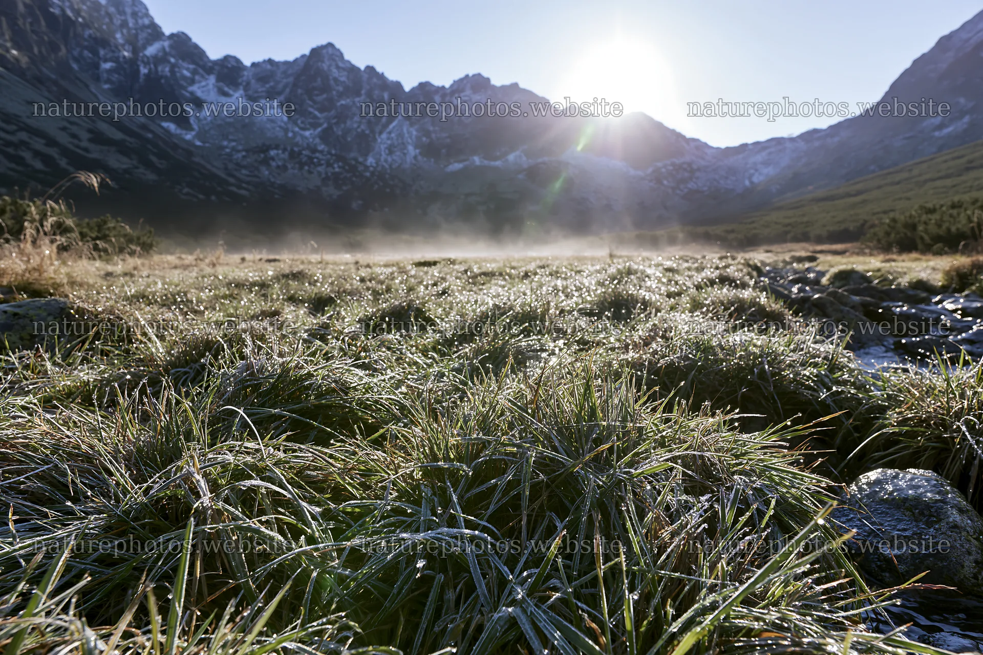Morning dew on grass in a rolling valley – nature photos 9722x6480