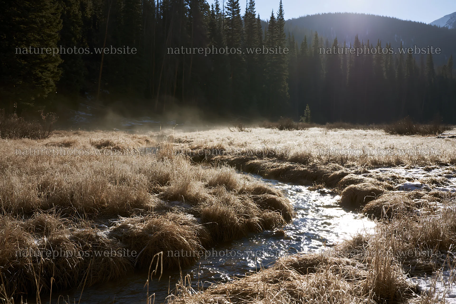 Snowy Rocky Mountain Park meadow with stream and tall trees – nature photos 9722x6480