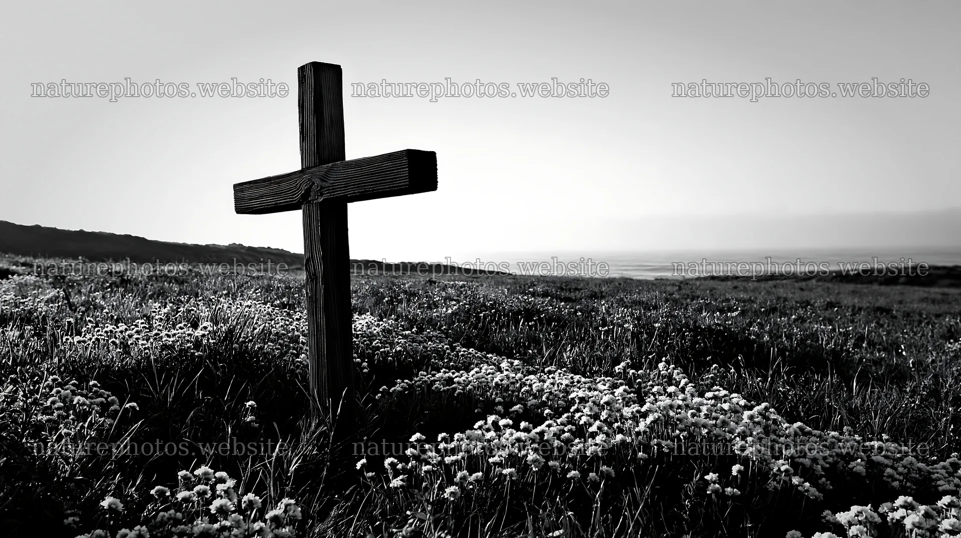 Christian cross stands in meadow at sunrise – nature photos 10608x5938