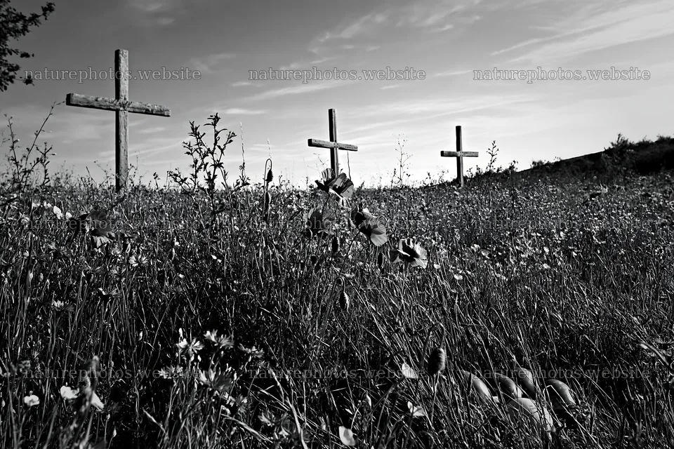 Christian crosses in meadow with wildflowers – nature photos 9722x6480