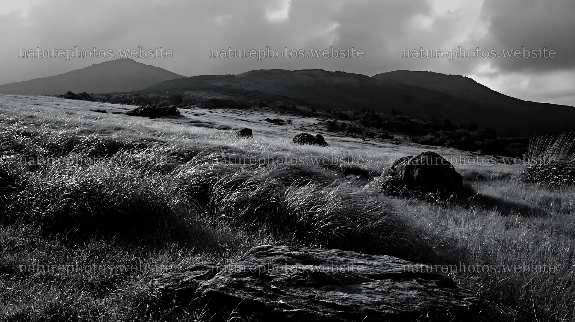 Oita highland meadow with granite stones under cloudy sky – nature photos 10608x5938