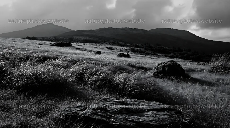 Oita highland meadow with granite stones under cloudy sky – nature photos 10608x5938