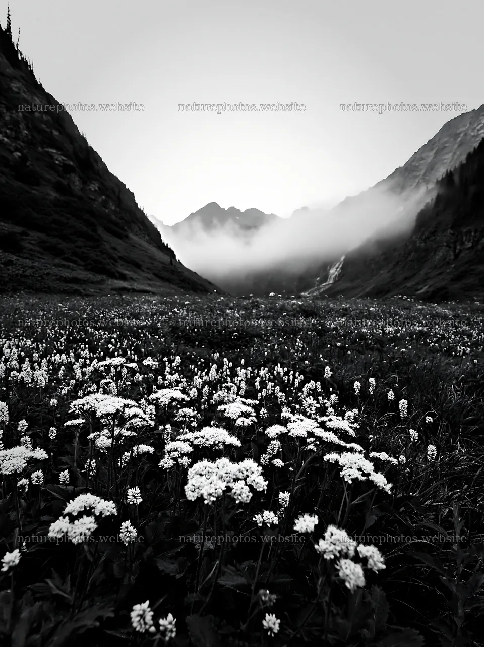 Misty waterfall in flower meadow at sunrise – nature photos 6866x9174