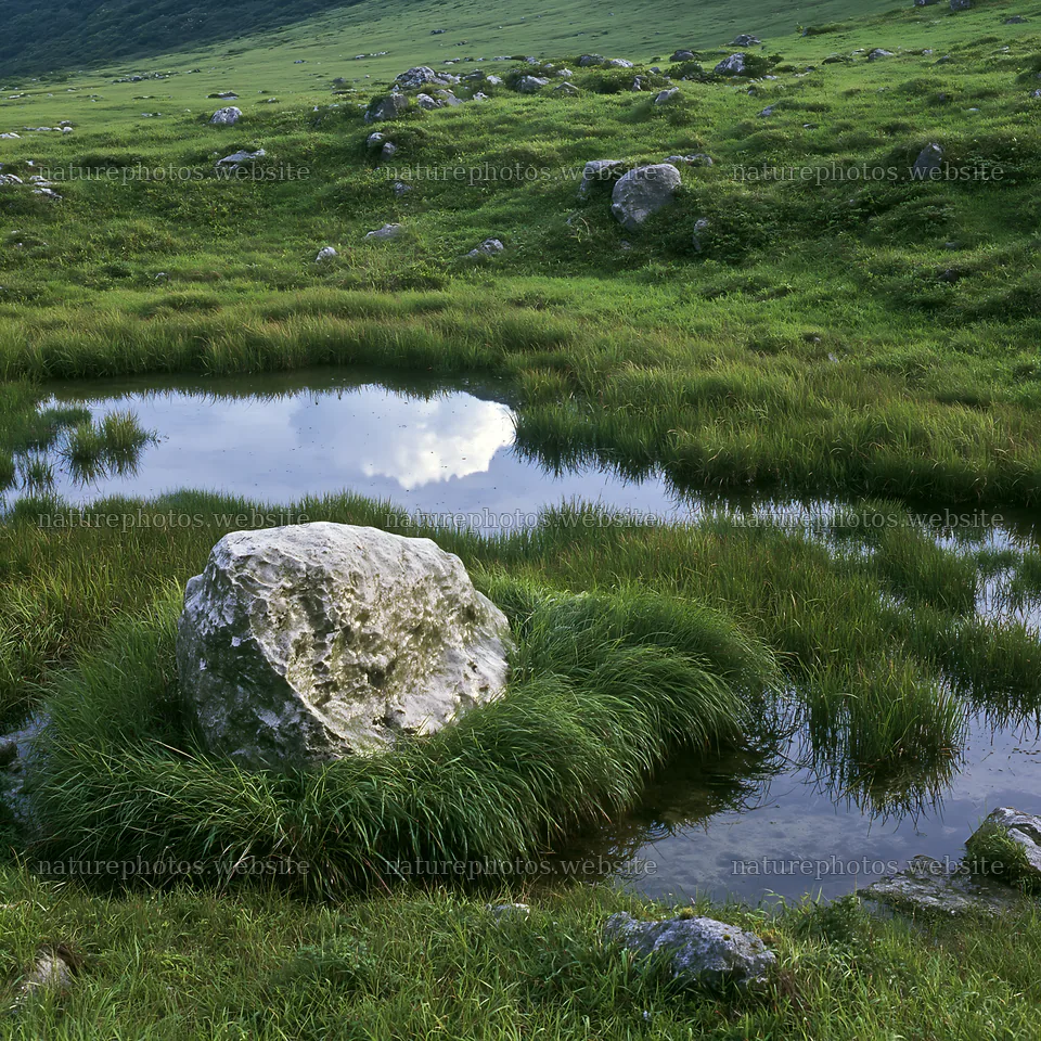 Yamaguchi limestone meadow with pale boulder and water pool – nature photos 7938x7938
