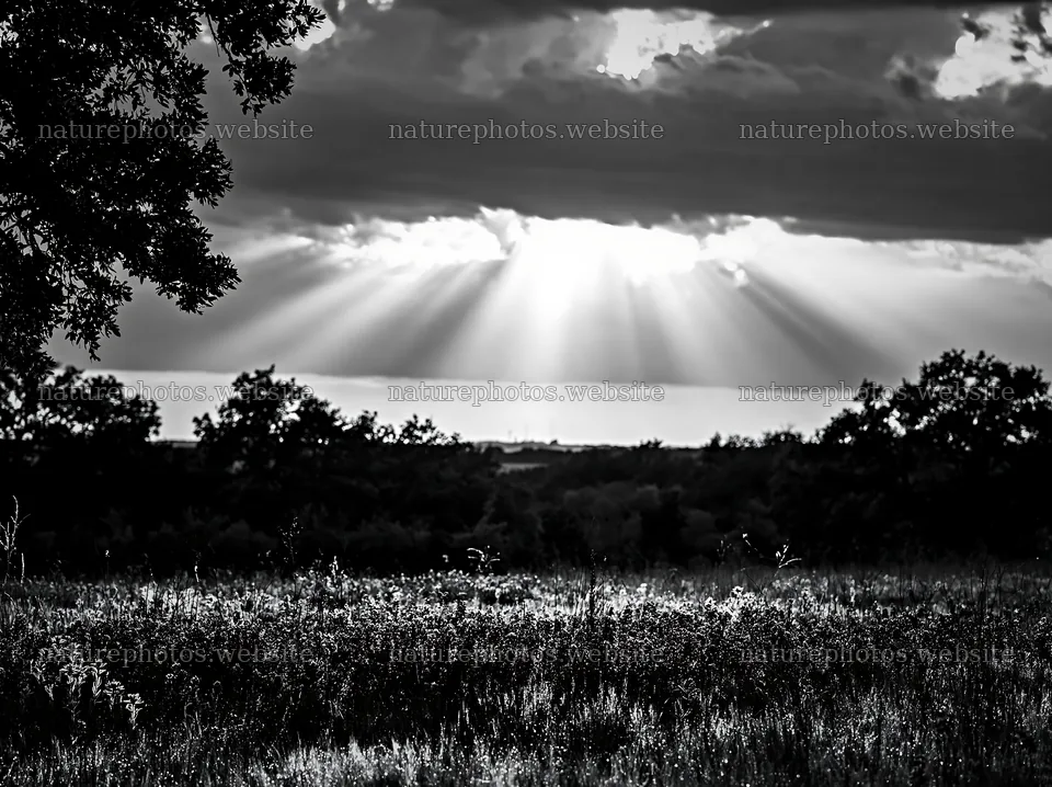 Crepuscular rays shine over a meadow under cloudy skies – nature photos 9174x6866