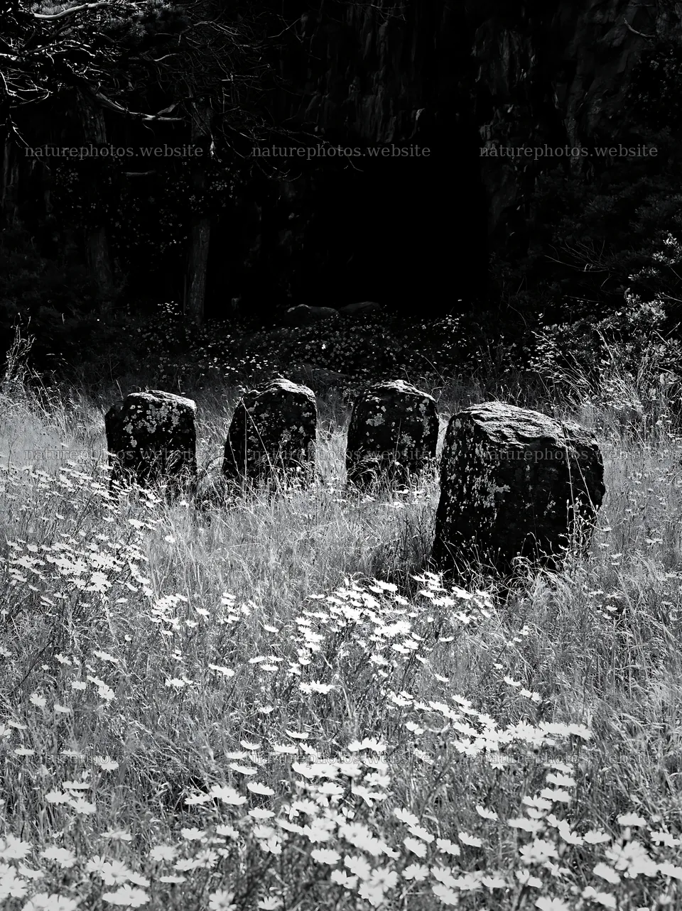 Christmas wreaths in meadow by cave – nature photos 6866x9174