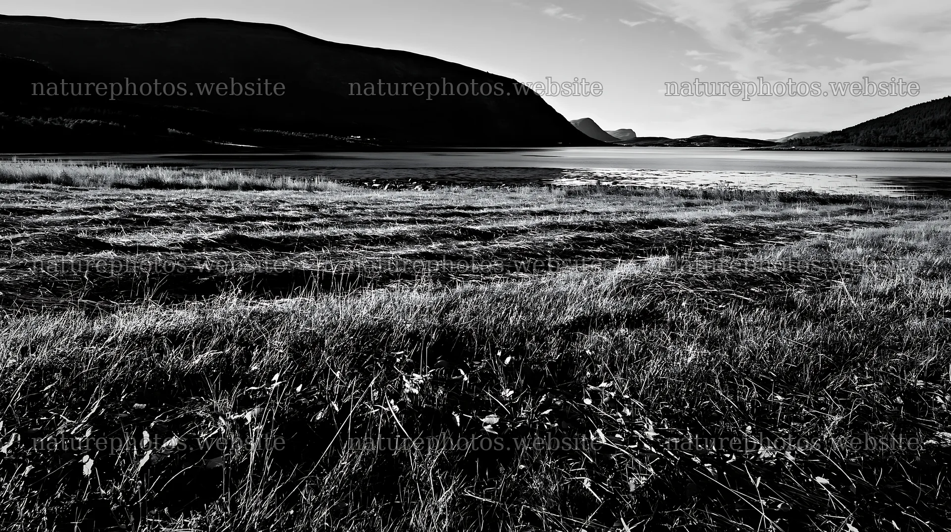 Fjord meadow landscape with grass and mountains in the background – nature photos 10608x5938