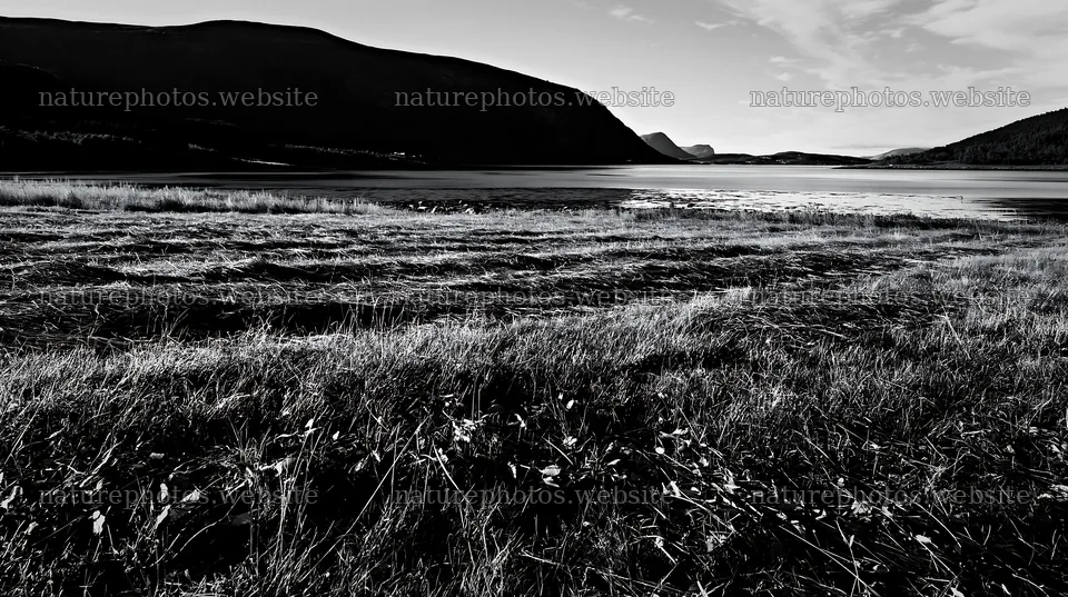 Fjord meadow landscape with grass and mountains in the background – nature photos 10608x5938
