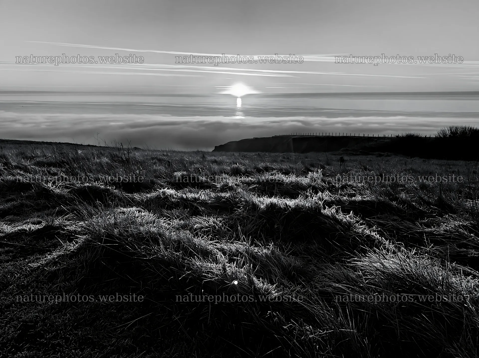 Frosty meadow at sunrise with distant horizon line – nature photos 9174x6866